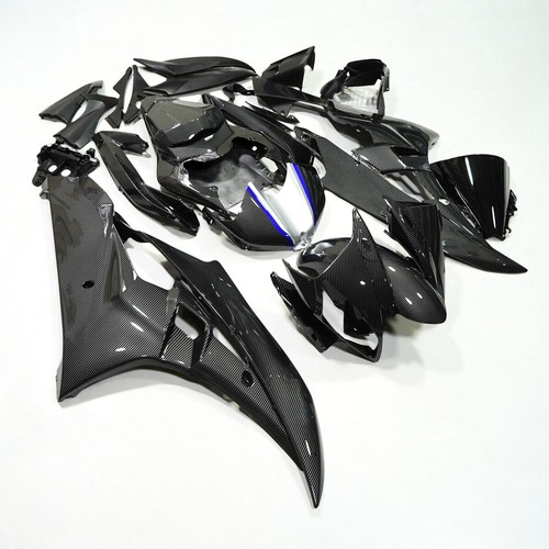 Carbon fiber painted fairing - painted,